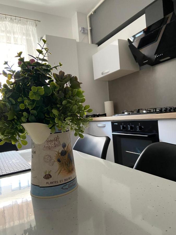 Qualis Apartament Brassó Kültér fotó